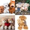 Safety Eyes 260PCS 10mm Plastic Black Craft Eyes Teddy Bear Eyes with Washers for Amigurumi Stuffed Animals Crochet Toys Crafts Making Halloween Decorations